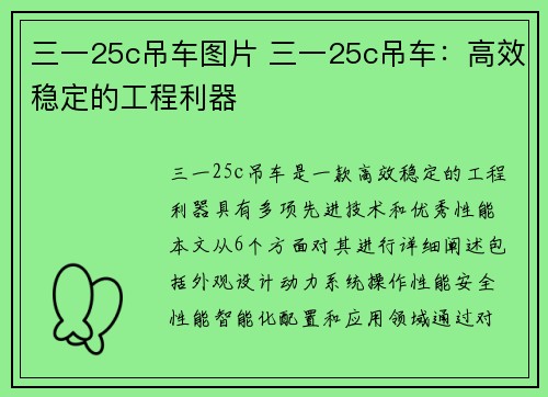 三一25c吊车图片 三一25c吊车：高效稳定的工程利器