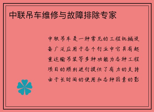 中联吊车维修与故障排除专家