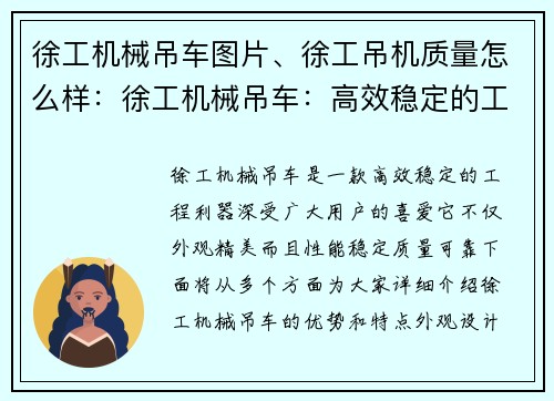 徐工机械吊车图片、徐工吊机质量怎么样：徐工机械吊车：高效稳定的工程利器