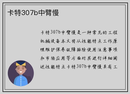 卡特307b中臂慢